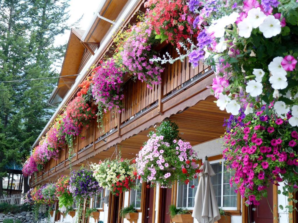 Gateway Motel Radium Hot Springs Eksteriør bilde